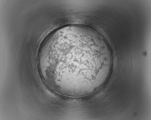 X0000115790721200911271226