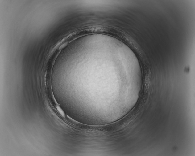 X0000115790722200911271226