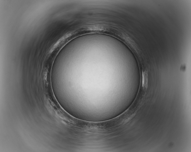 X0000115790723200911271226