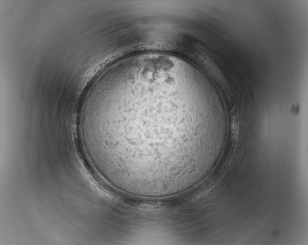 X0000115790725200911271226