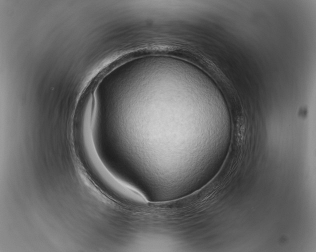 X0000115790726200911271226