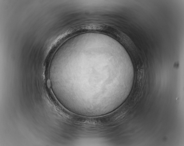 X0000115790727200911271226