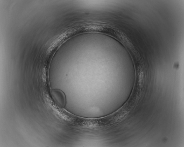 X0000115790729200911271226