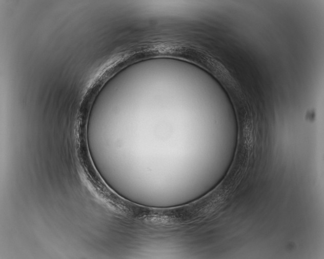 X0000115790730200911271226