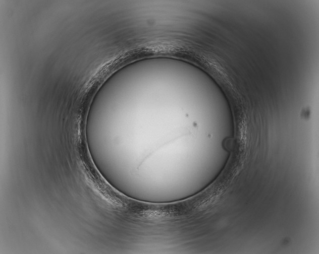 X0000115790733200911271226