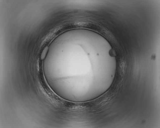 X0000115790734200911271226