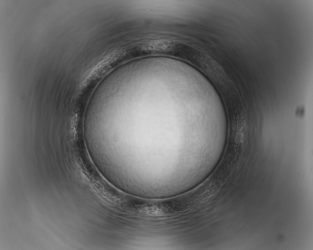 X0000115790735200911271226