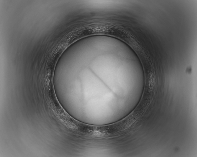 X0000115790737200911271226