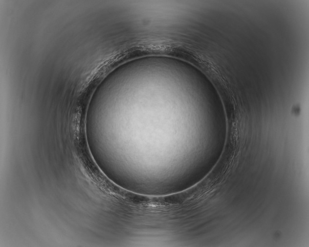 X0000115790739200911271226