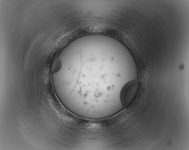 X0000115790741200911271226