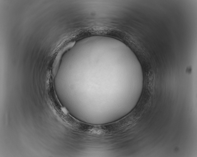 X0000115790742200911271226