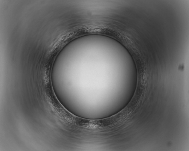 X0000115790743200911271226