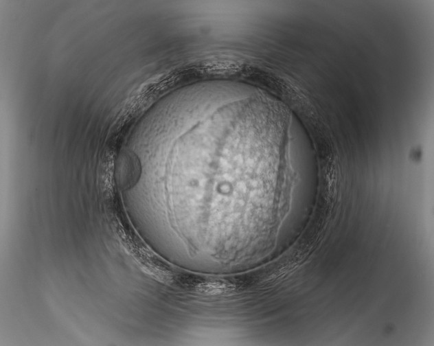 X0000115790745200911271226