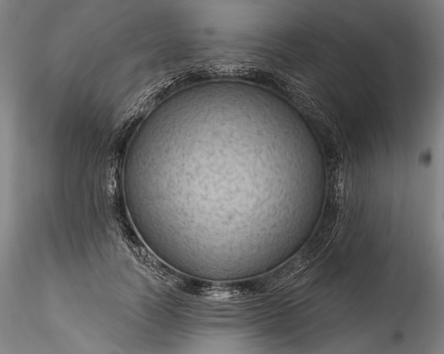 X0000115790746200911271226