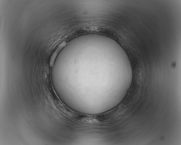 X0000115790747200911271226