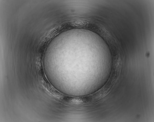 X0000115790749200911271226