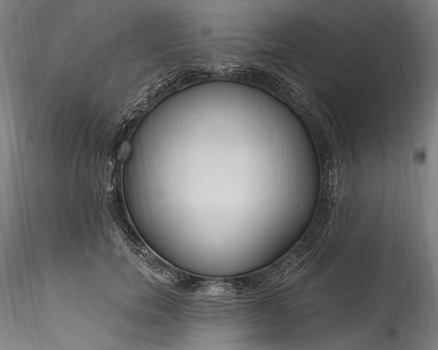 X0000115790750200911271226