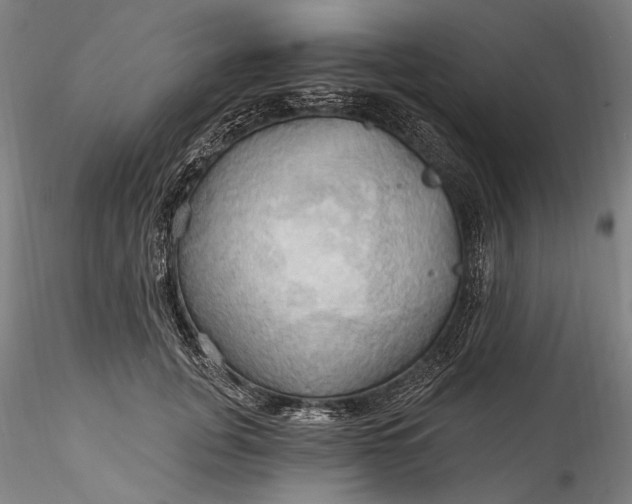 X0000115790751200911271226