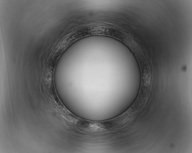 X0000115790753200911271226