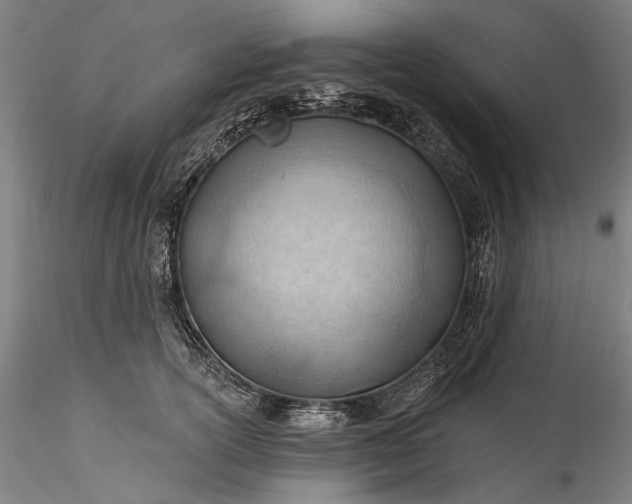 X0000115790754200911271226