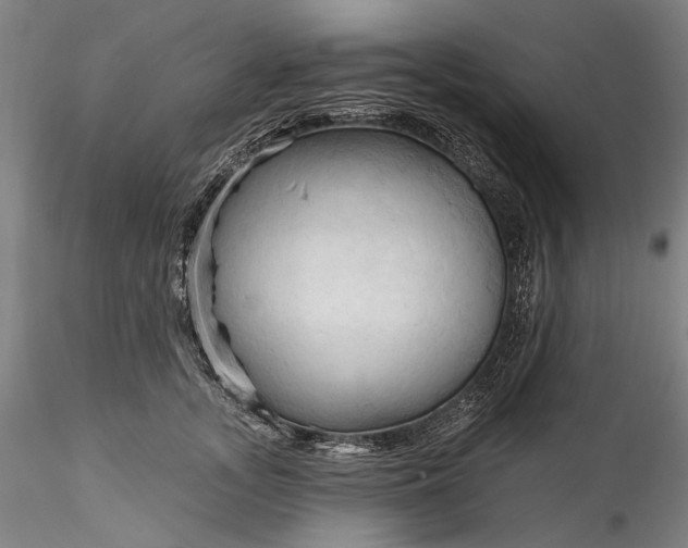 X0000115790755200911271226