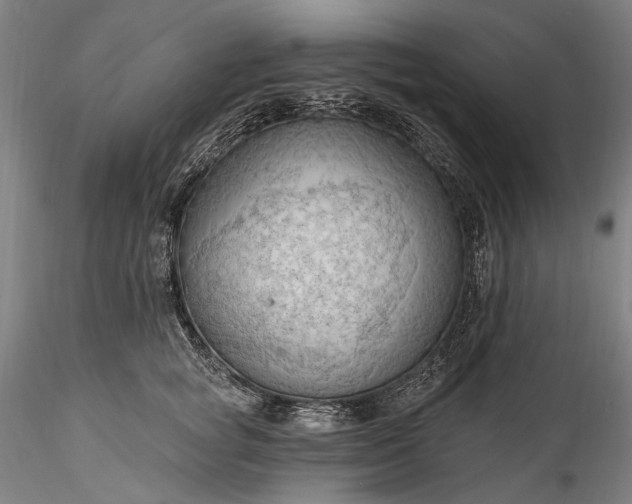 X0000115790757200911271226