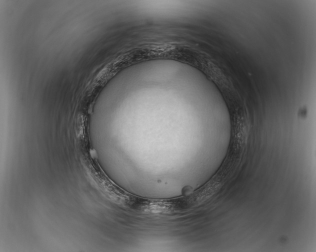 X0000115790758200911271226