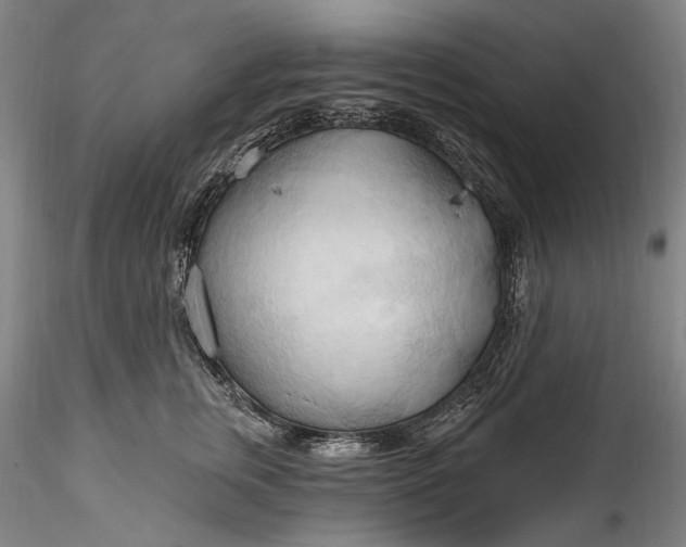 X0000115790759200911271226