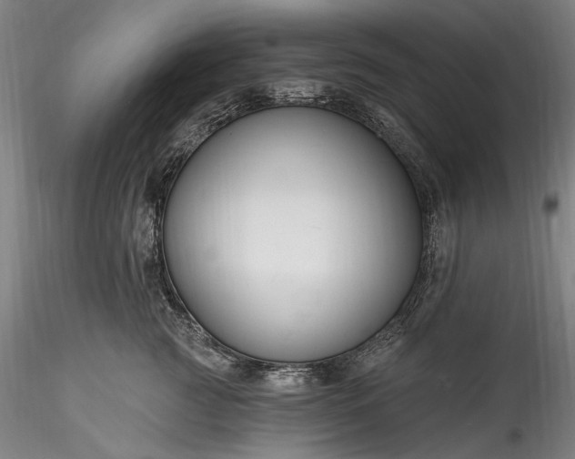 X0000115790761200911271227