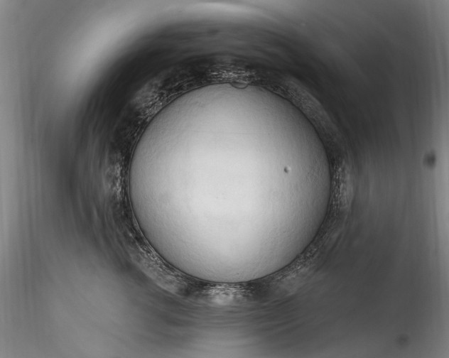 X0000115790762200911271227