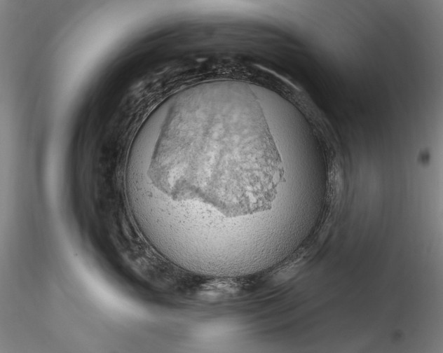 X0000115790765200911271227