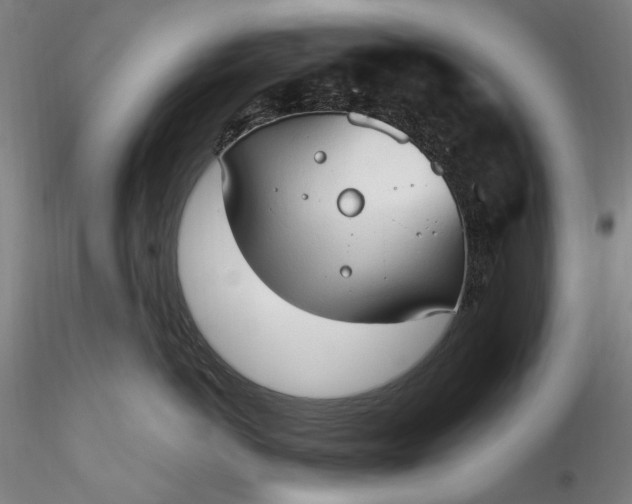 X0000115790766200911271227