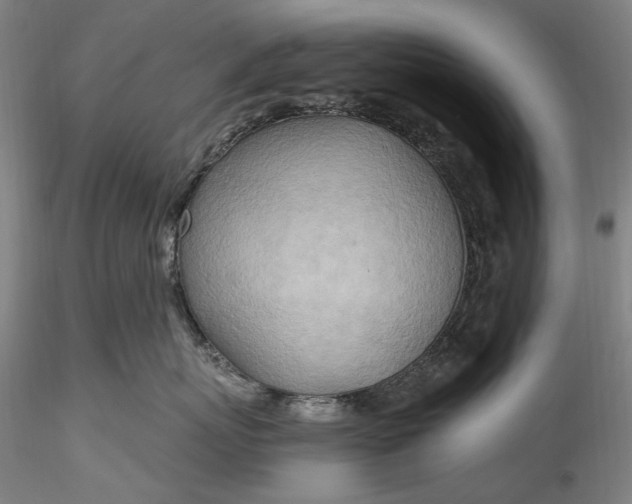 X0000115790767200911271227