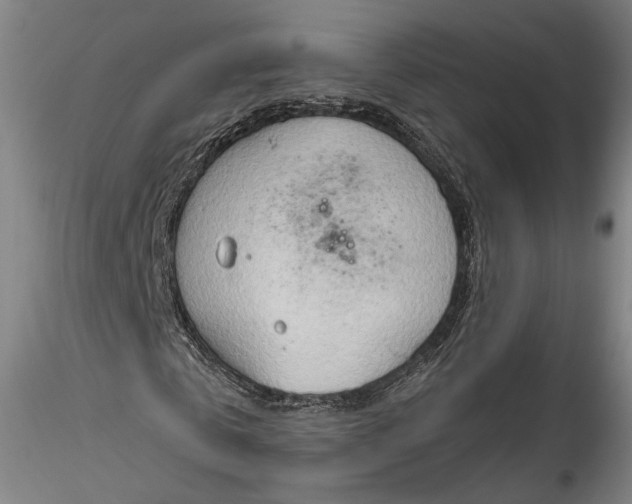 X0000115790769200911271226