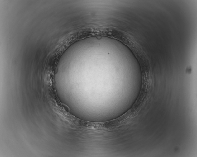 X0000115790770200911271226