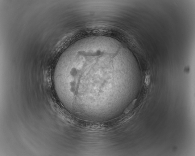 X0000115790771200911271226