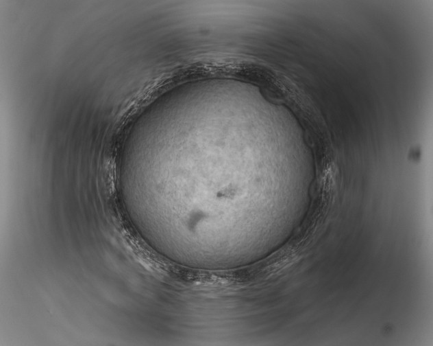 X0000115790772200911271226