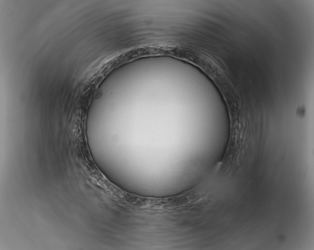 X0000115790773200911271226