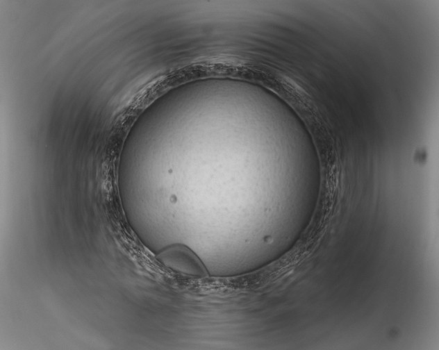 X0000115790774200911271226