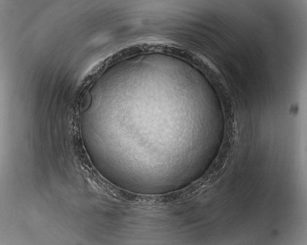 X0000115790775200911271226