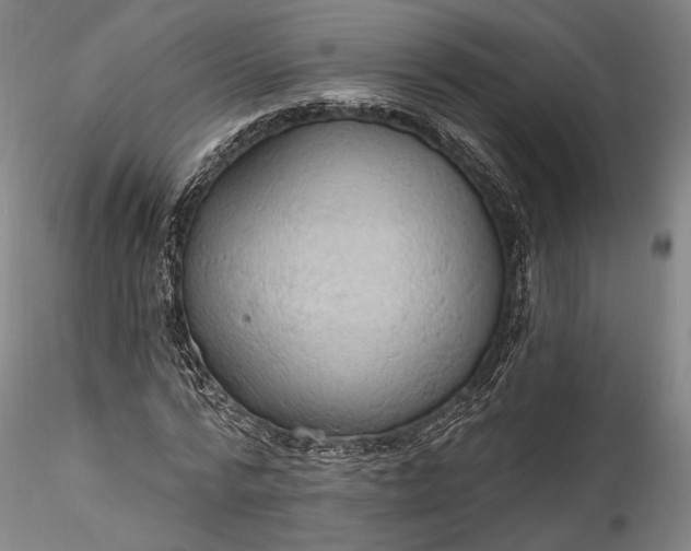 X0000115790776200911271226