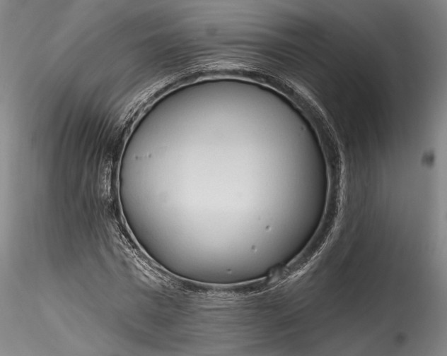 X0000115790777200911271226