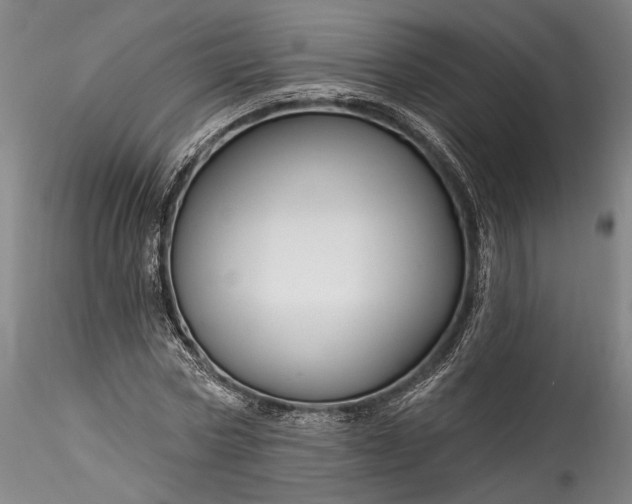 X0000115790778200911271226