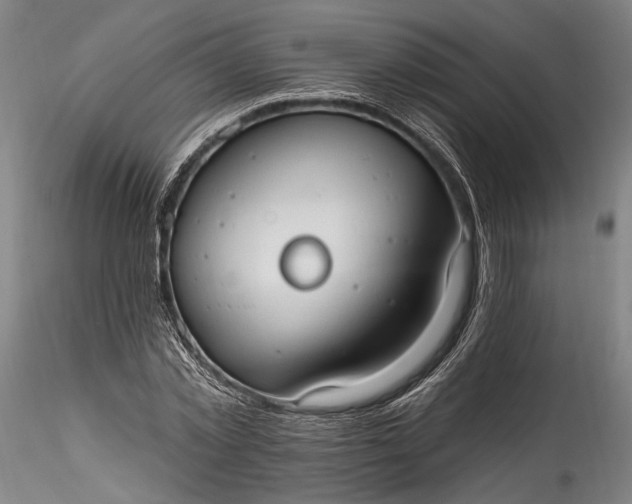 X0000115790781200911271226