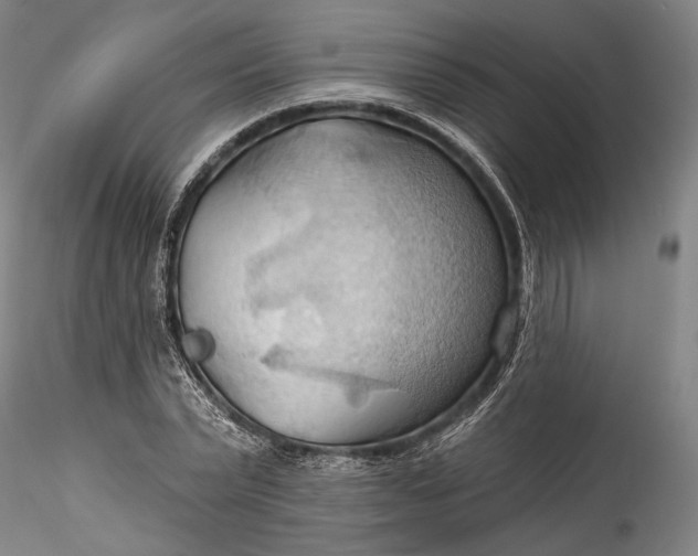 X0000115790783200911271226