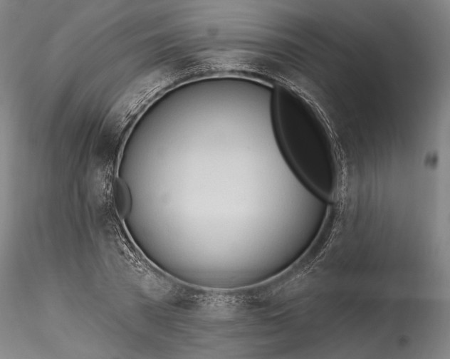 X0000115790785200911271226