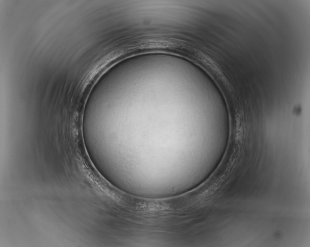 X0000115790786200911271226