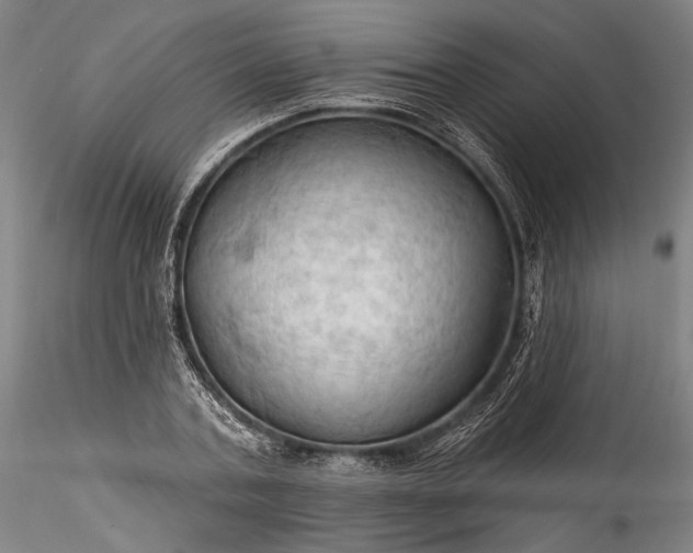 X0000115790787200911271226