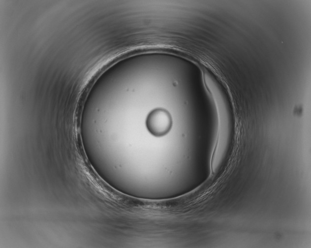 X0000115790789200911271226