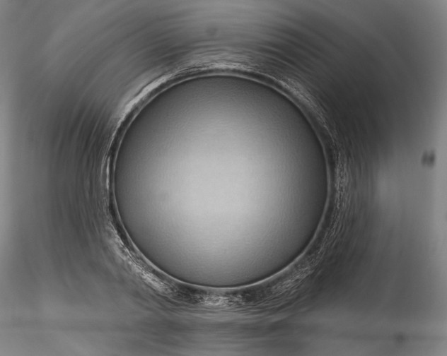 X0000115790790200911271226